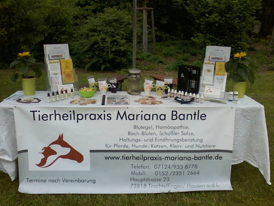 Infostand Landesgartenschau 2013